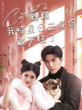 Oops, I can't hide my identity as a cat princess (60 episodes) Li Boyan & Sun Qianxun (2025) Watch online cloud disk resources