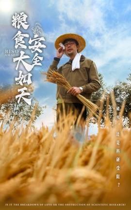 Food Security as Important as Heaven (Episode 43) Cheng Na (2025) Watch Online Cloud Disk Resource