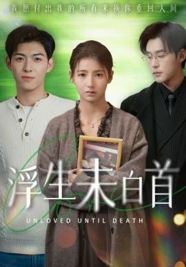 Floating Life Not Yet White-Headed (50 episodes) Zhang Liren & Wang Jin (2025) Watch Online Cloud Disk Resources