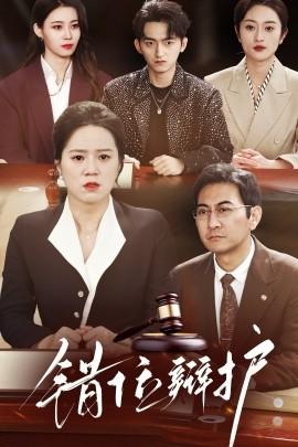 Dislocated Defense (47 episodes) (2025) Watch online cloud disk resources