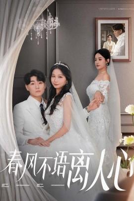 The Spring Breeze Does Not Speak of Parting Hearts (31 episodes) (2025) Watch Online Cloud Disk Resources